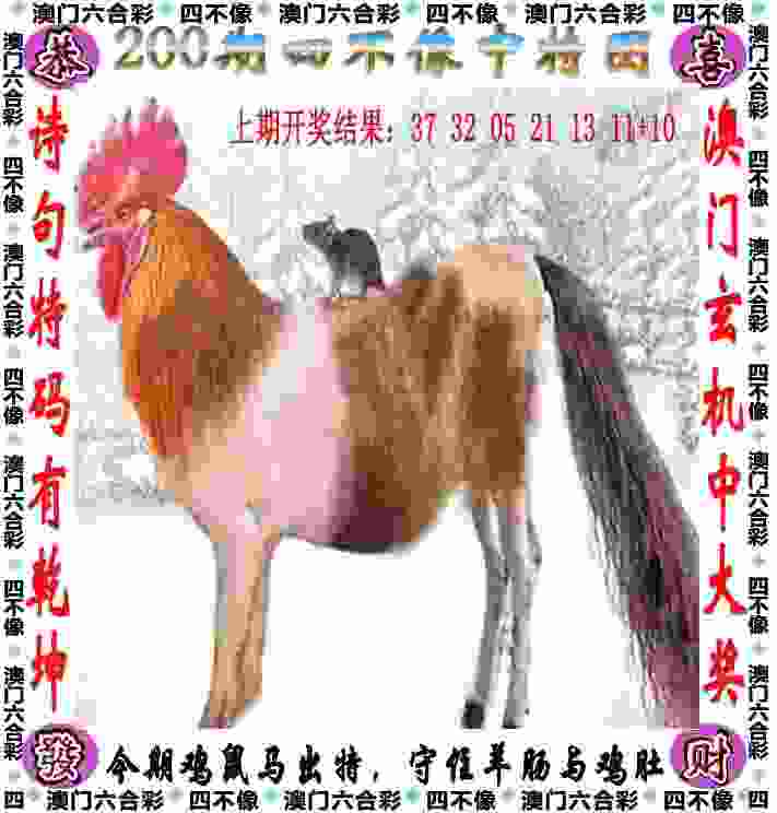半岛V视｜舍逛街拍照时光，守绿茵场青春梦想，西海岸女足积极备战女甲联赛